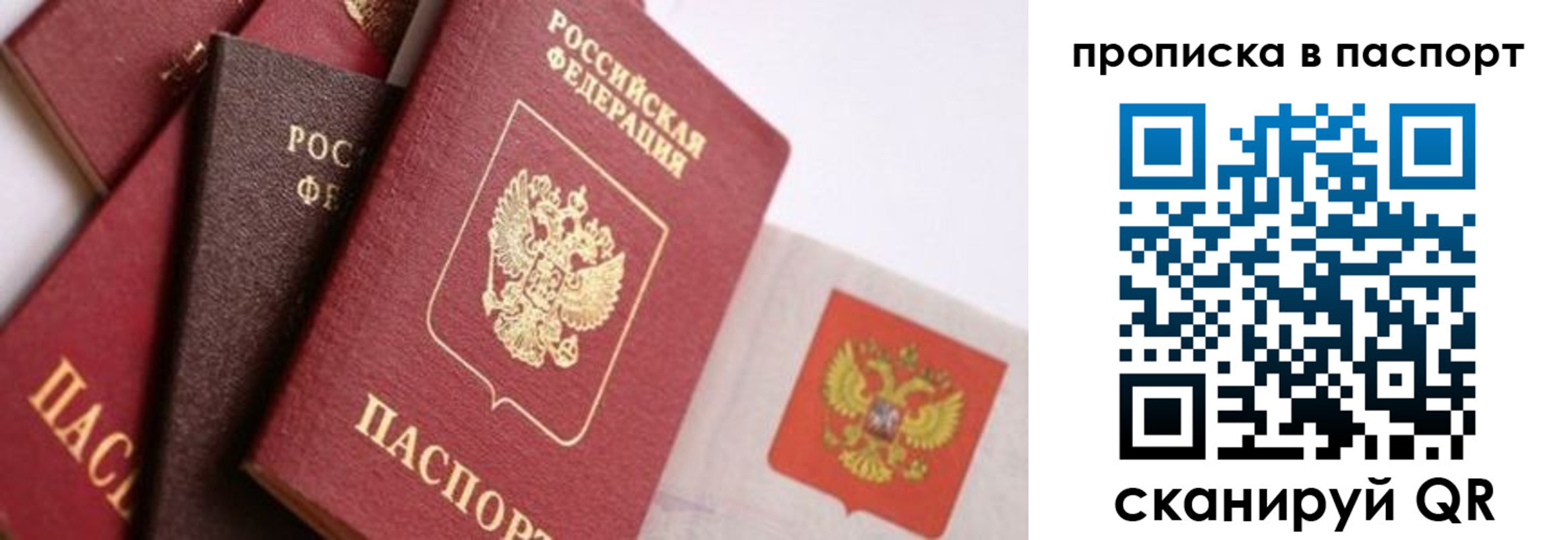 прописка штамп в Красном Куте